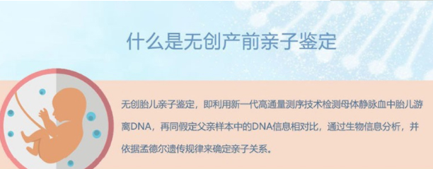 许昌怀孕了如何做亲子鉴定,许昌做怀孕亲子鉴定详细的流程